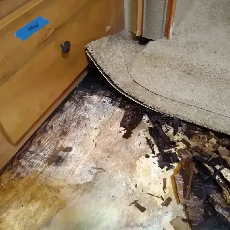 Best Wood Floor Water Damage Service in Clyde, NY